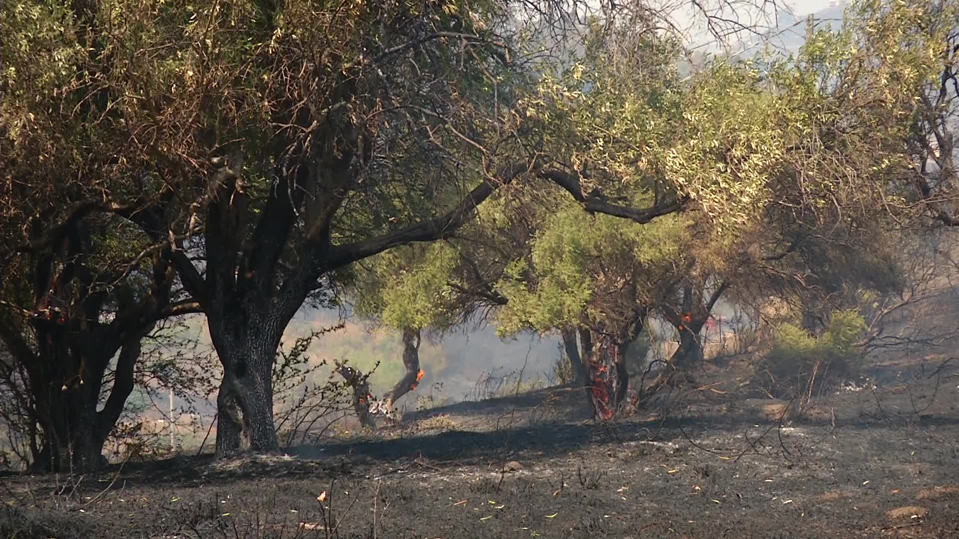 Incendi A Messina Al Via La Ricognizione Del Comune Ecco Come